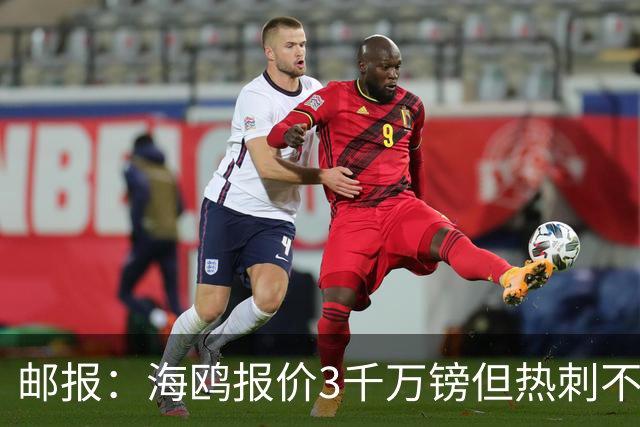 邮报：海鸥报价3千万镑但热刺不愿卖武什科维奇 巴萨国米拜仁关注